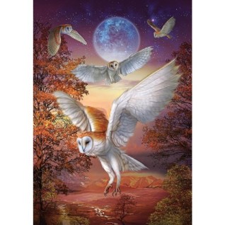 ART PUZZLE Ayışığı Baykuşları