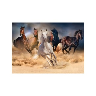 KS 1000 Wild Horses