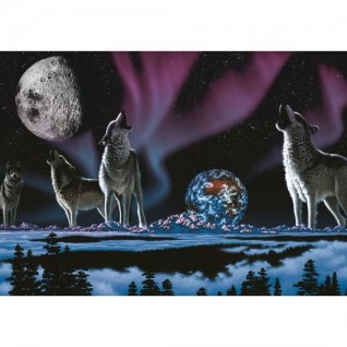 ART PUZZLE Evrenin Şarkısı 1000 Parça Puzzle
